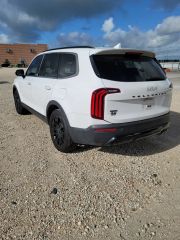 2022 Kia Telluride EX - Exterior Rear Left Corner Image